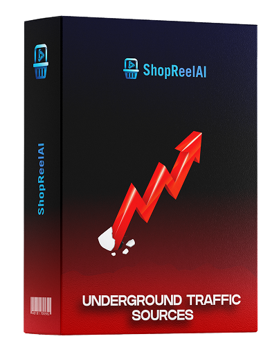 Entrenamiento de ShopReelAI xBundle sobre secretos de tráfico subterráneo para negocios online.
